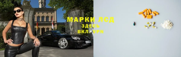 спайс Алзамай