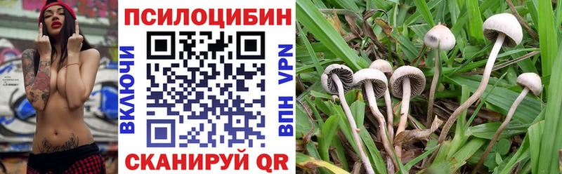 Галлюциногенные грибы Magic Shrooms  Купить закладки  Сенгилей 